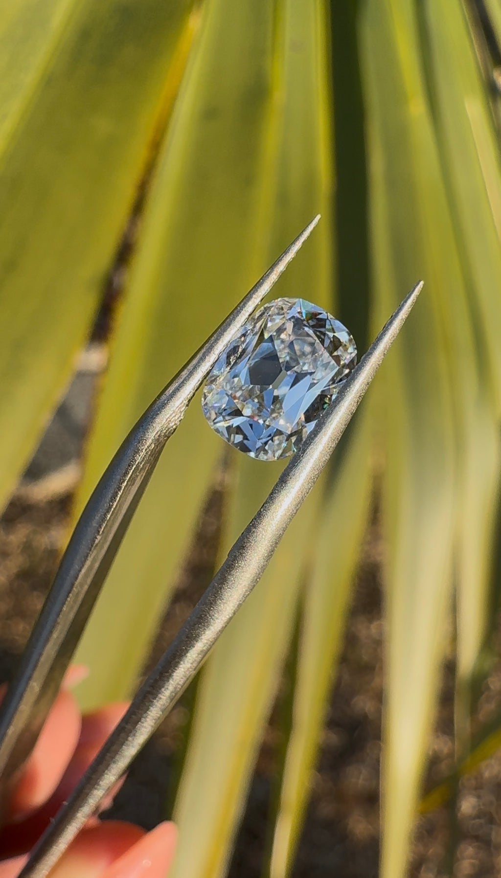 1.41 Lab Grown Cushion diamond